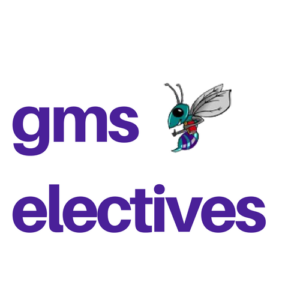 gms electives