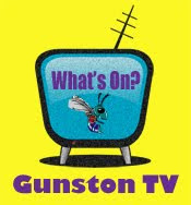 Gunston TV