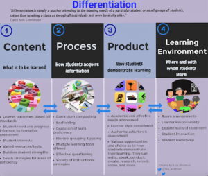 Differentiation options